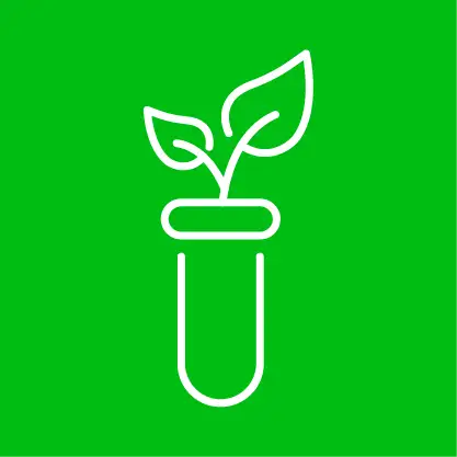 Dẫu hữu cơ diệt côn trùng
